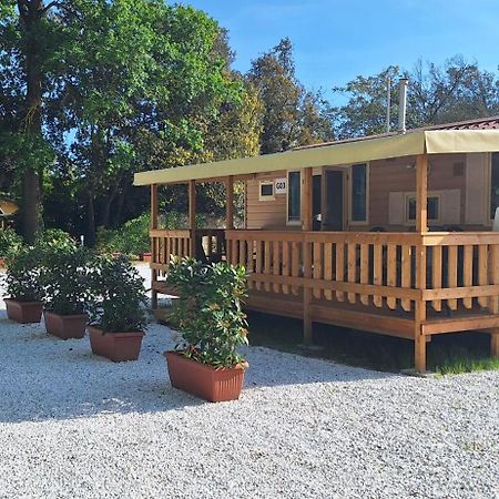 Mobile Home Viareggio - Including Airco- Camping Paradiso - G008 ภายนอก รูปภาพ