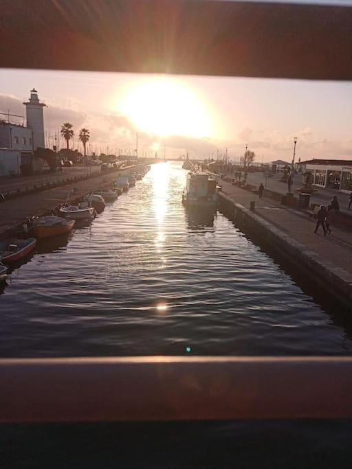 Mobile Home Viareggio - Including Airco- Camping Paradiso - G008 ภายนอก รูปภาพ